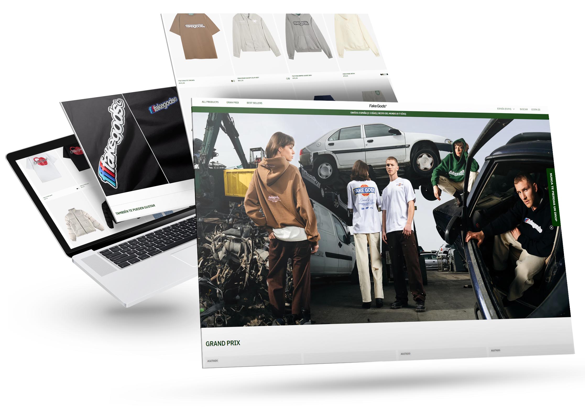 Shopify Theme Customization 15 Fake Goads 1